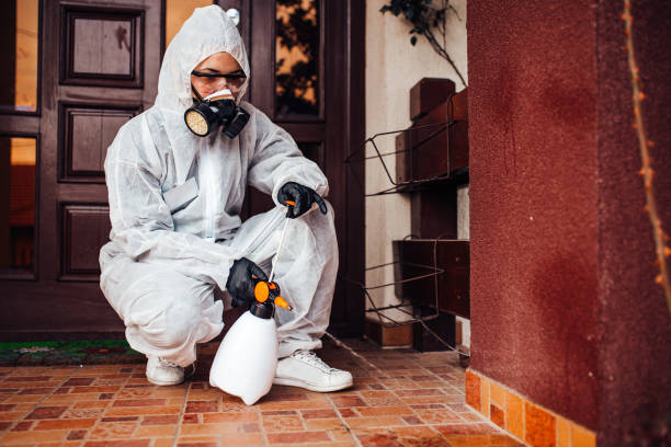 Reliable Cockroach Control contractor in Darnestown, MD by Nex Pest Control